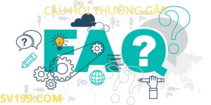 Câu hỏi thường gặp