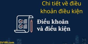 Chi tiết điều khoản