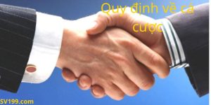 Quy định cá cược